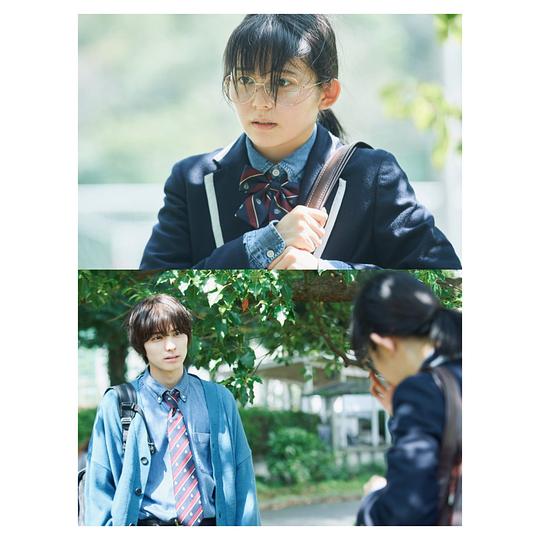 电视剧《青春灰姑娘  青春シンデレラ》（2022日本）--高清4K/1080P迅雷BT资源下载
