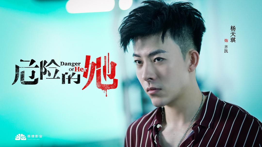 电视剧《危险的她》（2020中国大陆）--高清4K/1080P迅雷BT资源下载