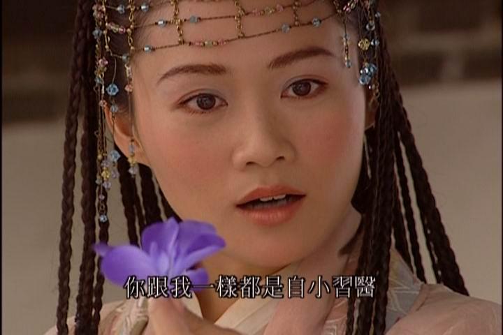 电视剧《幻影神针》（2005中国大陆）--高清4K/1080P迅雷BT资源下载