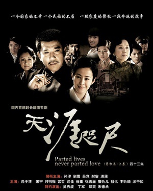 电视剧《天涯咫尺》（2008中国大陆）--高清4K/1080P迅雷BT资源下载