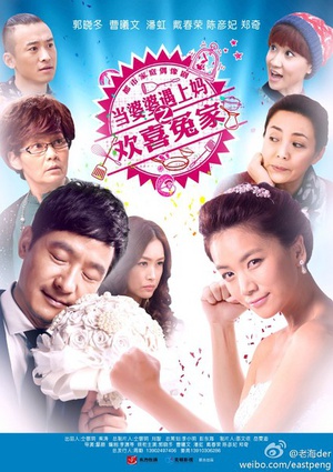 电视剧《当婆婆遇上妈之欢喜冤家》（2014中国大陆）--高清4K/1080P迅雷BT资源下载