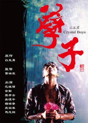 电视剧《孽子》（2003中国台湾）--高清4K/1080P迅雷BT资源下载