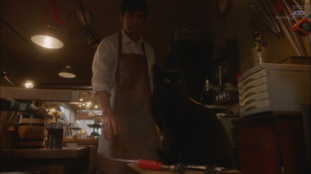 电视剧《毛毯猫  ブランケット・キャッツ》（2017日本）--高清4K/1080P迅雷BT资源下载