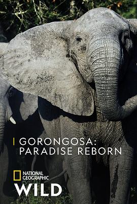 电视剧《Gorongosa: Paradise Reborn》（2022美国）--高清4K/1080P迅雷BT资源下载