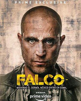 电视剧《法尔考  Falco》（2018墨西哥 / 美国 / 哥伦比亚）--高清4K/1080P迅雷BT资源下载