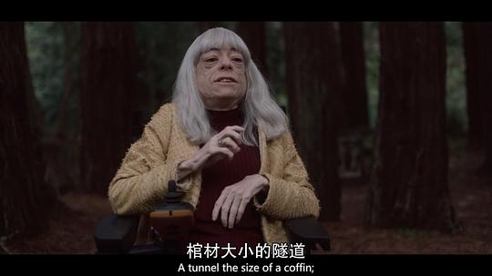 电视剧《先见之明 第二季  The OA》（2019美国）--高清4K/1080P迅雷BT资源下载