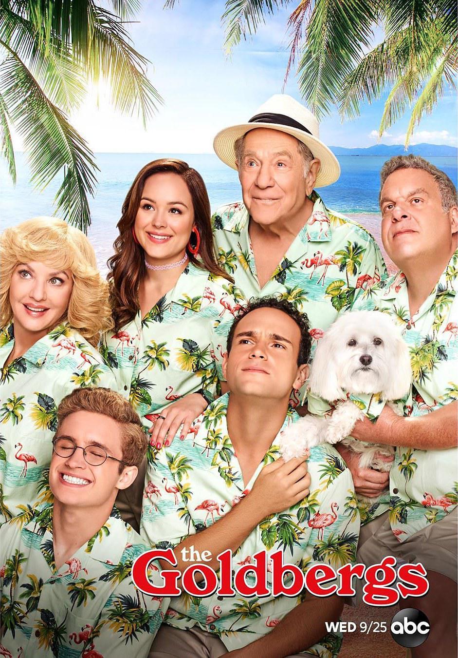 电视剧《戈德堡一家 第七季  The Goldbergs》（2019美国）--高清4K/1080P迅雷BT资源下载