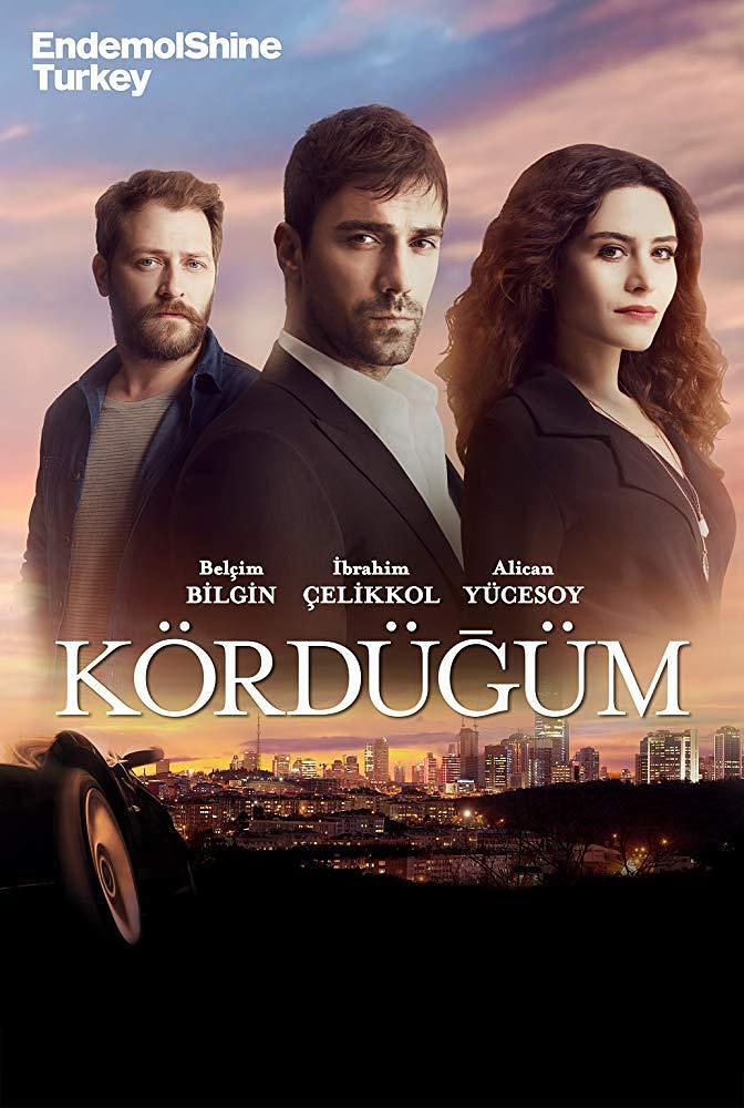 电视剧《爱情交叉点  Kördügüm》（2016土耳其）--高清4K/1080P迅雷BT资源下载