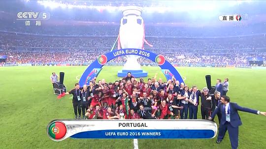 电视剧《2016法国欧洲杯  2016 UEFA European Football Championship》（2016法国）--高清4K/1080P迅雷BT资源下载