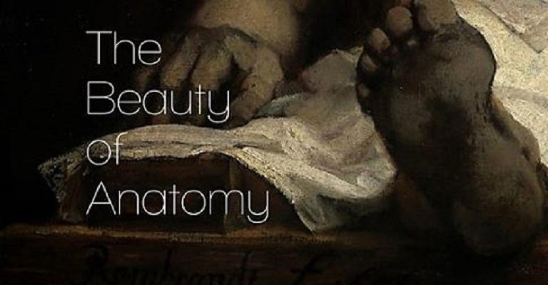 电视剧《解剖之美  The Beauty of Anatomy》（2014英国）--高清4K/1080P迅雷BT资源下载