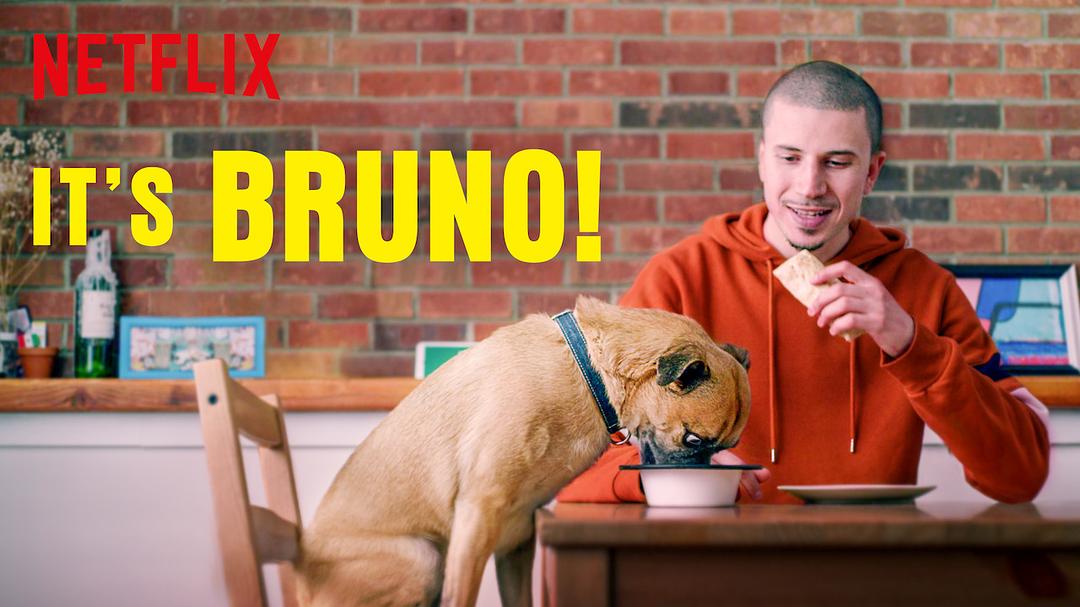 电视剧《布鲁诺驾到！  It's Bruno!》（2019美国）--高清4K/1080P迅雷BT资源下载