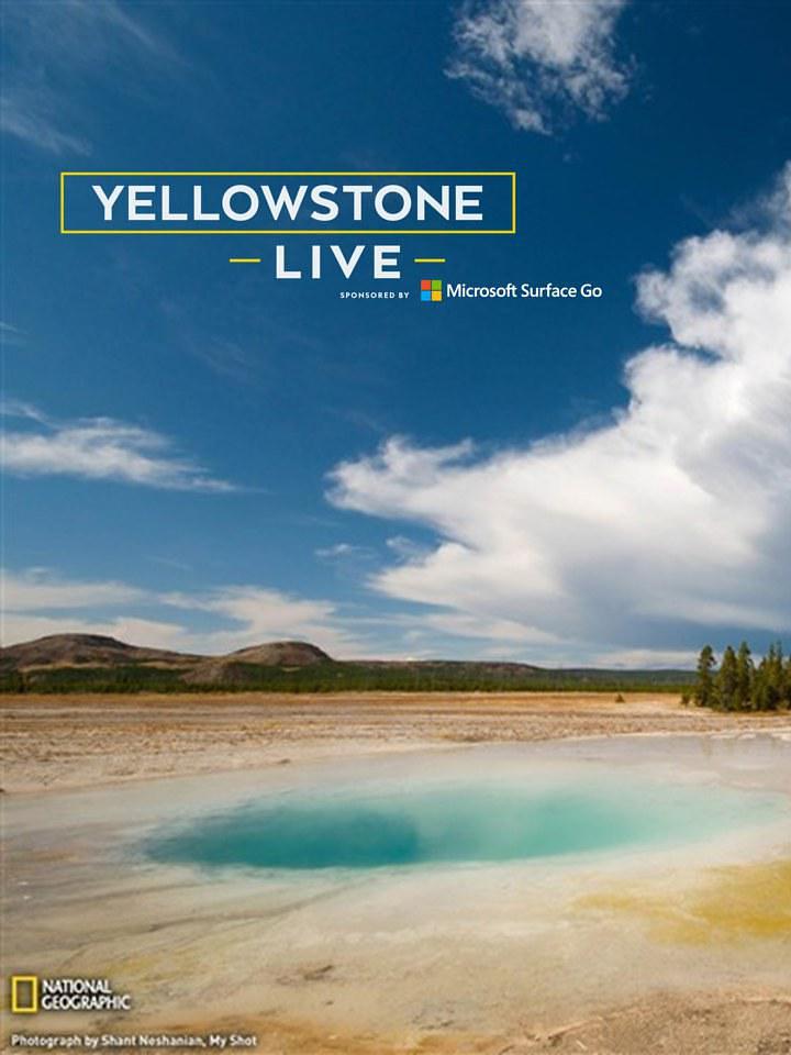 电视剧《Yellowstone Live Season 1  Yellowstone Live》（2018美国）--高清4K/1080P迅雷BT资源下载