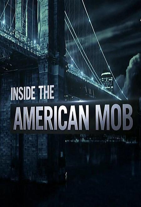 电视剧《美国黑帮秘辛  Inside the American Mob》（2013美国）--高清4K/1080P迅雷BT资源下载