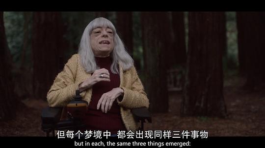 电视剧《先见之明 第二季  The OA》（2019美国）--高清4K/1080P迅雷BT资源下载