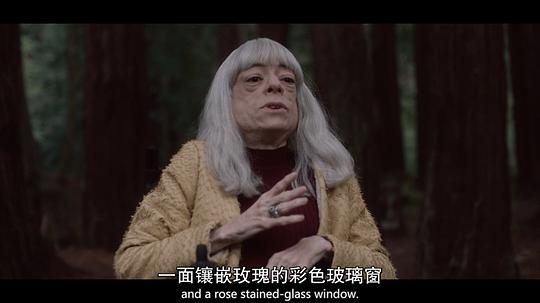 电视剧《先见之明 第二季  The OA》（2019美国）--高清4K/1080P迅雷BT资源下载