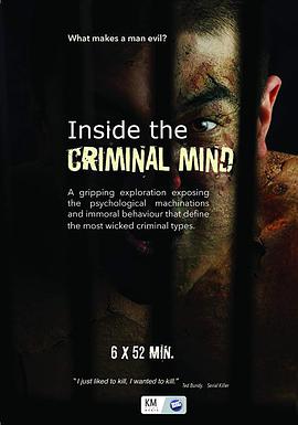 电视剧《犯罪心理学  Inside the Criminal Mind》（2017美国）--高清4K/1080P迅雷BT资源下载