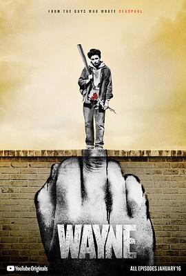 电视剧《韦恩 第一季  Wayne》（2019美国）--高清4K/1080P迅雷BT资源下载