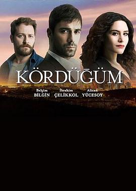 电视剧《爱情交叉点  Kördügüm》（2016土耳其）--高清4K/1080P迅雷BT资源下载