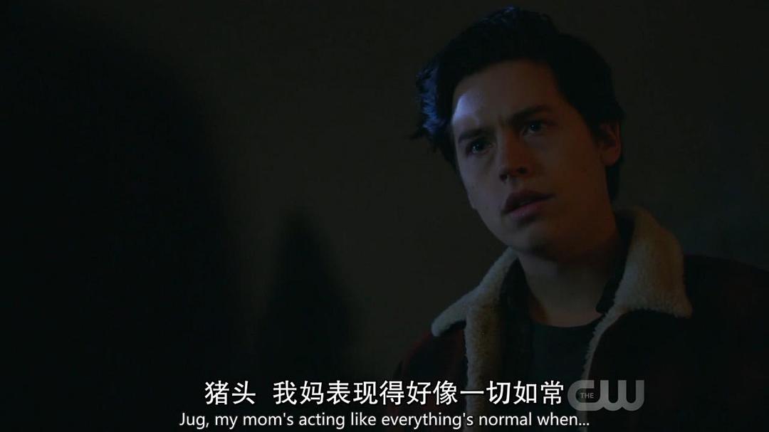 电视剧《河谷镇 第二季  Riverdale》（2017美国）--高清4K/1080P迅雷BT资源下载