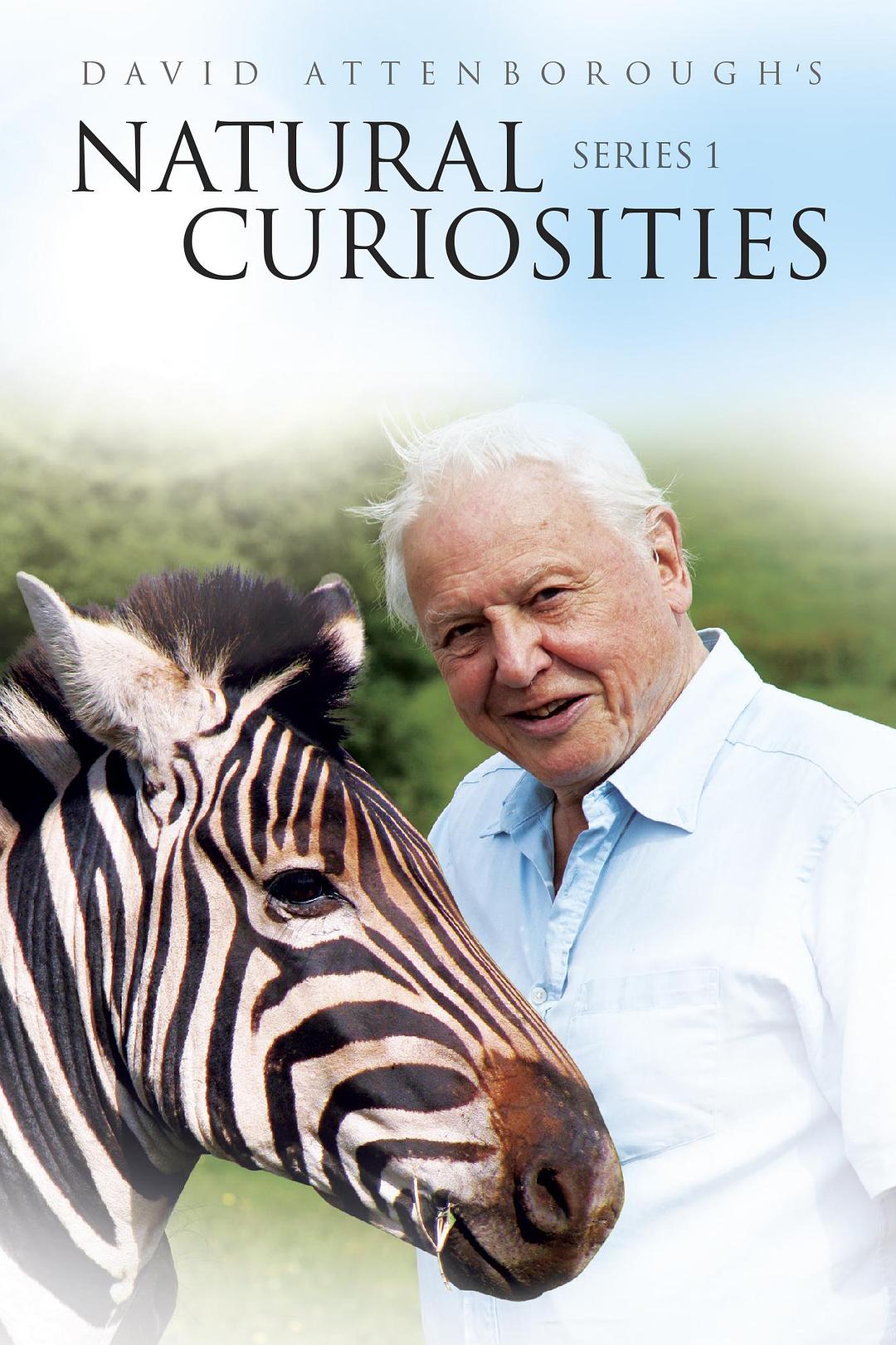 电视剧《自然趣闻 第一季  David Attenborough's Natural Curiosities》（2013英国）--高清4K/1080P迅雷BT资源下载