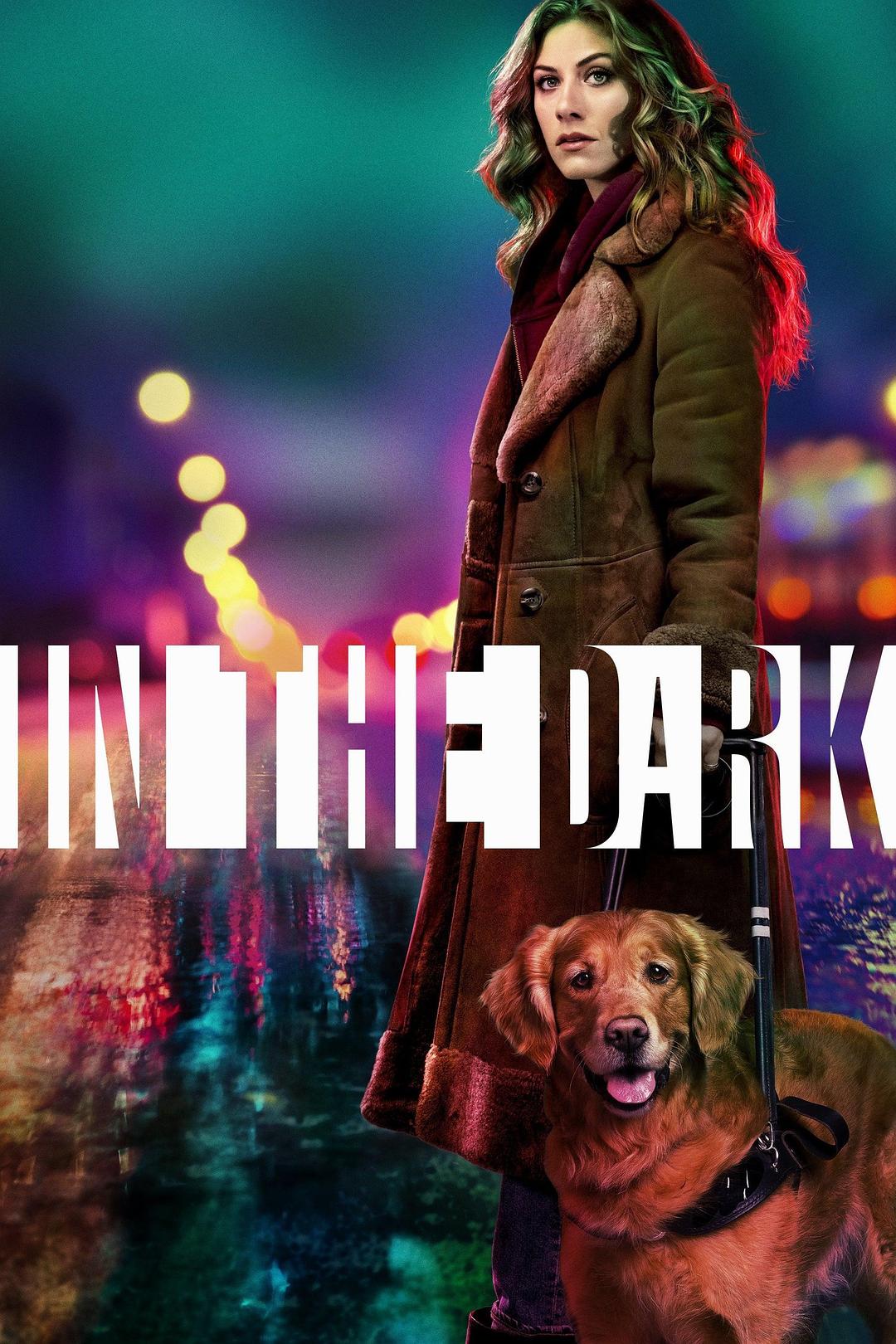 电视剧《暗中 第一季  In the Dark》（2019美国）--高清4K/1080P迅雷BT资源下载