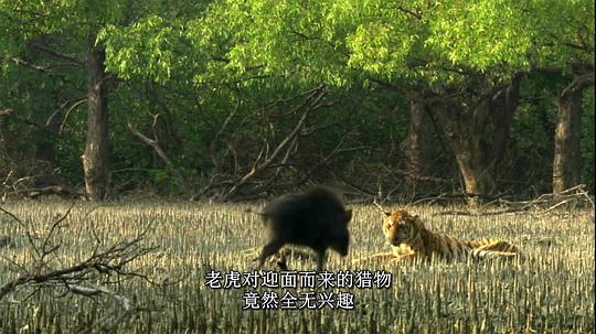 电视剧《恒河  Ganges》（2007英国）--高清4K/1080P迅雷BT资源下载