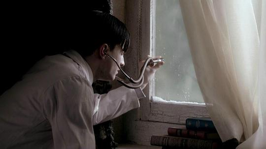 电视剧《一位年轻医生的笔记 第一季  A Young Doctor's Notebook》（2012英国）--高清4K/1080P迅雷BT资源下载