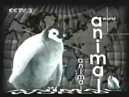 电视剧《动物世界  Animal World》（1968美国）--高清4K/1080P迅雷BT资源下载