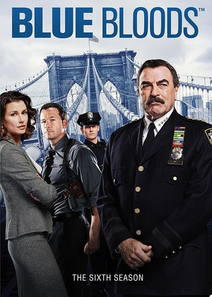 电视剧《警察世家 第六季  Blue Bloods》（2015美国）--高清4K/1080P迅雷BT资源下载