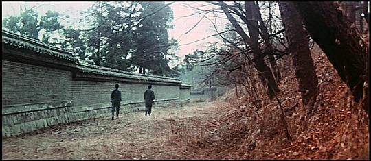 电影《铁掌旋风腿  鐵掌旋風腿》（1972中国香港）--高清4K/1080P迅雷BT资源下载