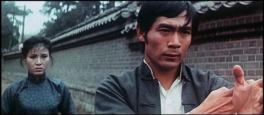 电影《铁掌旋风腿  鐵掌旋風腿》（1972中国香港）--高清4K/1080P迅雷BT资源下载