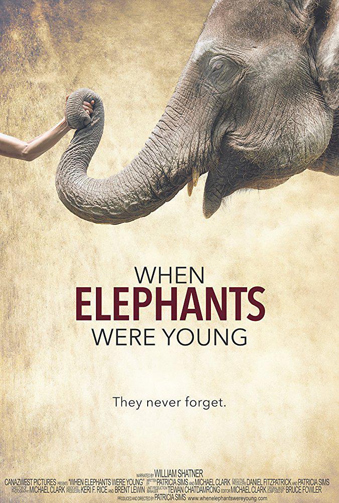 电影《大象年幼时  When Elephants Were Young》（2016加拿大 / 泰国）--高清4K/1080P迅雷BT资源下载