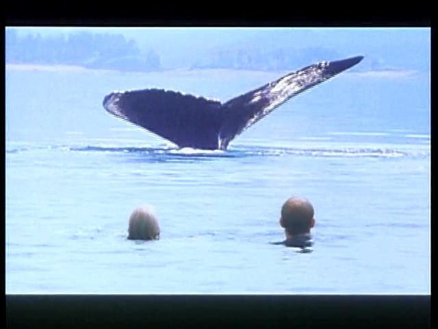 电影《鱼精  Der Unfisch》（1997奥地利）--高清4K/1080P迅雷BT资源下载