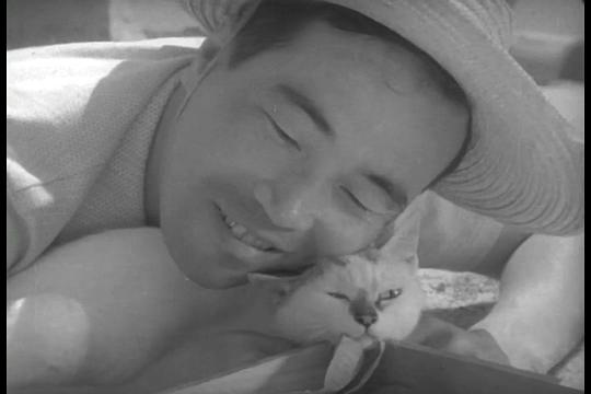 电影《猫和庄造和两个女人  猫と庄造と二人のをんな》（1956日本）--高清4K/1080P迅雷BT资源下载