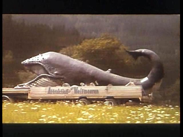 电影《鱼精  Der Unfisch》（1997奥地利）--高清4K/1080P迅雷BT资源下载