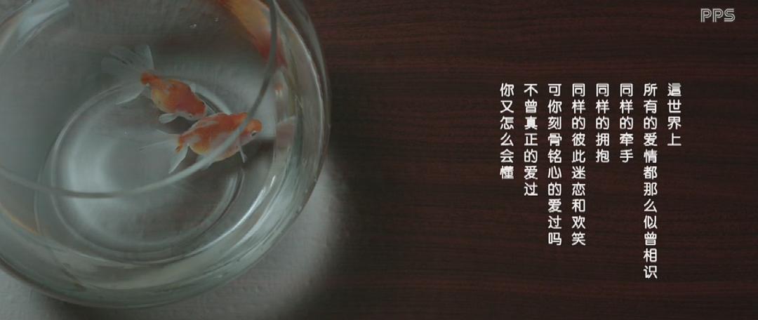 电影《不爱不散》（2013中国大陆）--高清4K/1080P迅雷BT资源下载