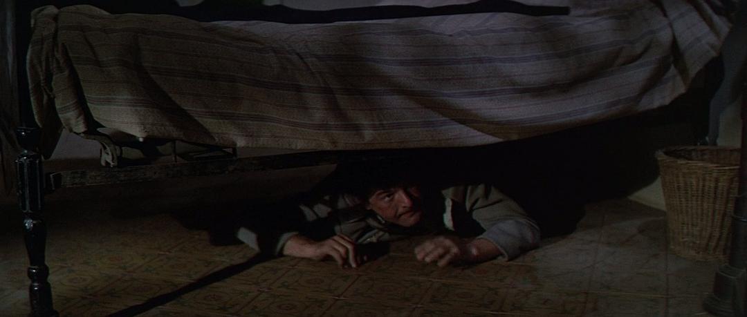 电影《异想天开大逃亡  What Did You Do in the War, Daddy?》（1966美国）--高清4K/1080P迅雷BT资源下载