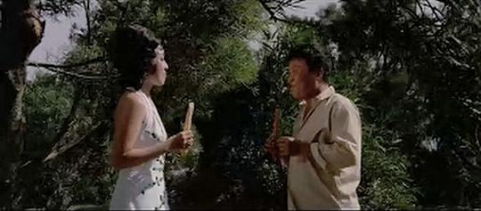 电影《双星伴月  雙星伴月》（1975中国香港）--高清4K/1080P迅雷BT资源下载
