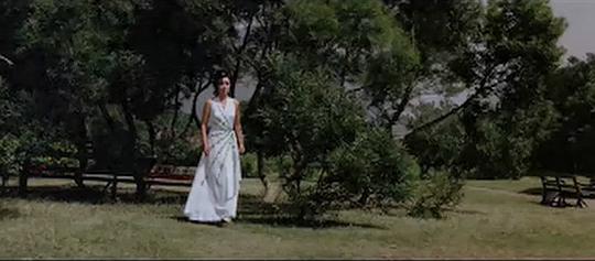 电影《双星伴月  雙星伴月》（1975中国香港）--高清4K/1080P迅雷BT资源下载
