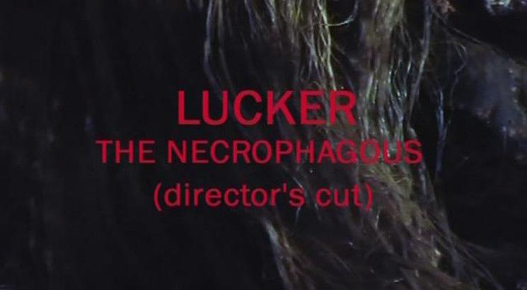 电影《食尸者卢卡尔  Lucker the Necrophagous》（1986比利时）--高清4K/1080P迅雷BT资源下载