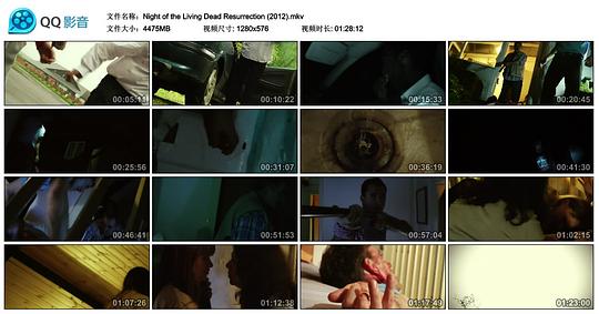 电影《Night of the Living Dead: Resurrection》（2012英国）--高清4K/1080P迅雷BT资源下载