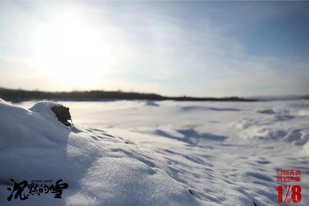 电影《沉默的雪》（2019中国大陆）--高清4K/1080P迅雷BT资源下载