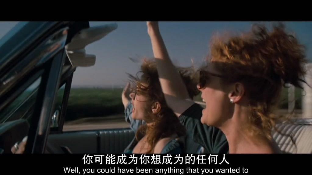 电影《末路狂花  Thelma &amp; Louise》（1991美国 / 英国 / 法国）--高清4K/1080P迅雷BT资源下载