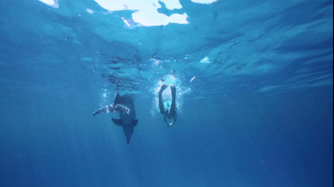 电影《海豚踢  Dolphin Kick》（2018美国）--高清4K/1080P迅雷BT资源下载