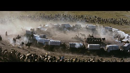 电影《无情荒地有情天  Untamed》（1955美国）--高清4K/1080P迅雷BT资源下载