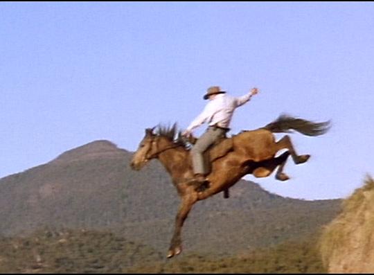 电影《牧马人之恋  The Man from Snowy River II》（1988澳大利亚）--高清4K/1080P迅雷BT资源下载