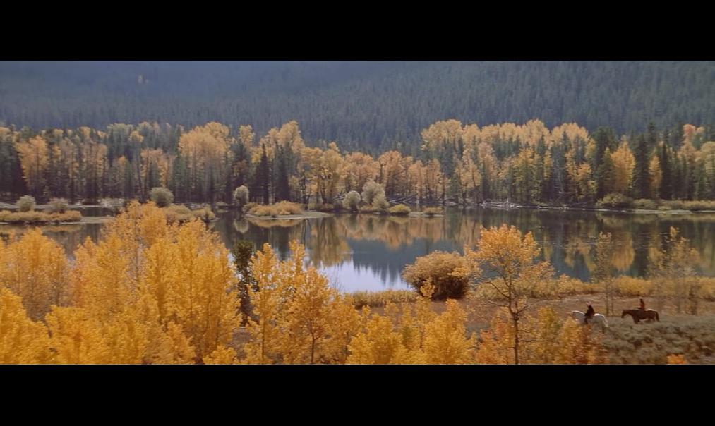 电影《与狼共舞 Dances with Wolves》(1990美国 / 英国)--高清4K/1080P迅雷BT资源下载 电影《与狼共舞 Dances with Wolves》(1990美国 / 英国)--高清4K/1080P迅雷BT资源下载