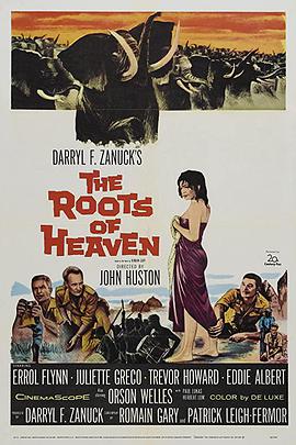 电影《荒漠天堂  The Roots of Heaven》（1958美国）--高清4K/1080P迅雷BT资源下载