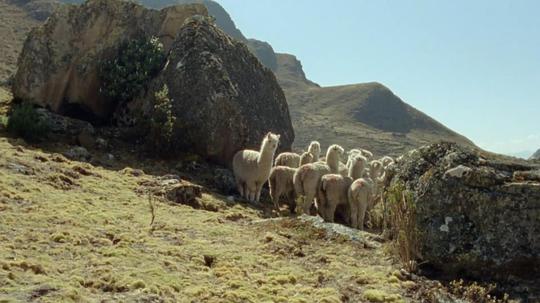 电影《La Luz en el Cerro》（2016秘魯）--高清4K/1080P迅雷BT资源下载