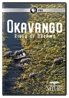 电影《奥卡万戈：梦想之河  Okavango: River of Dreams》（2019博茨瓦纳）--高清4K/1080P迅雷BT资源下载